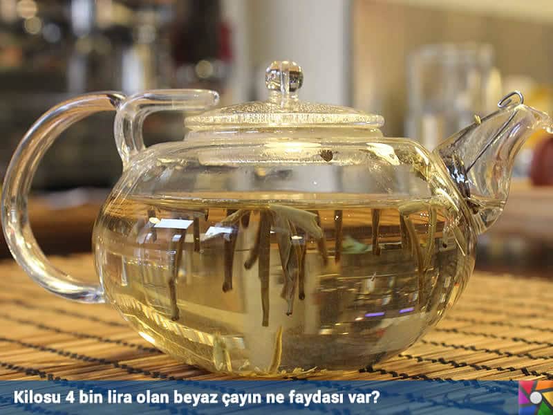 20 gr 80 liradan satılmakta olan Beyaz Çay kaynatılmaz, sıcak suda demletmek gerekir.