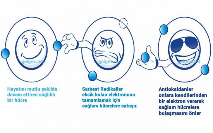 Antioksidan Nedir Antioksidanlarin Yararlari Nelerdir Serbest Radikaller