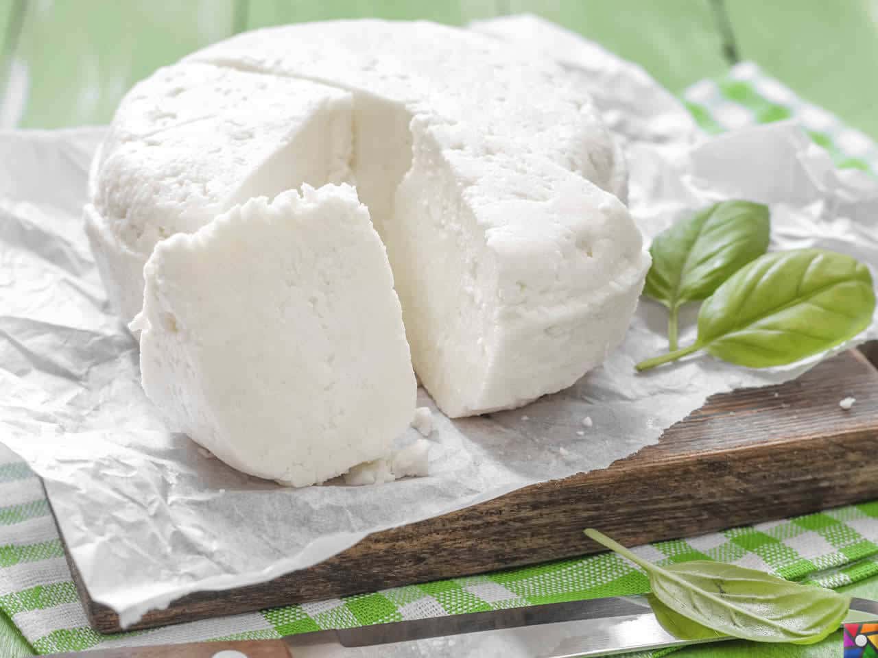 Besin Grupları Nelerdir? Besinlere göre nasıl dengeli beslenmeliyiz? | Süt ürünlerinden doğal peynir yapmayı hiç düşündünüz mü?