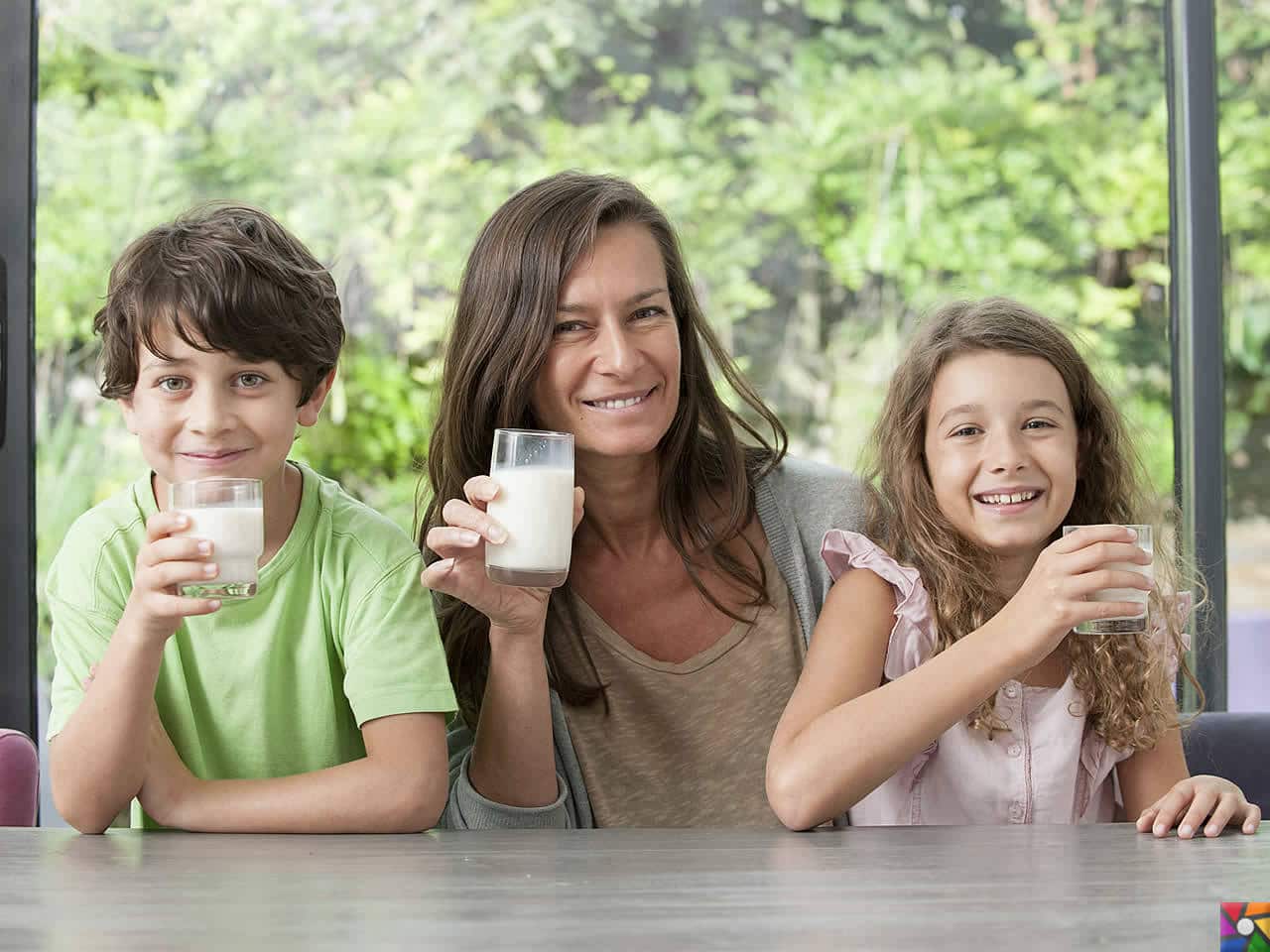Besin Grupları Nelerdir? Besinlere göre nasıl dengeli beslenmeliyiz? | Süt için, süt içirin!