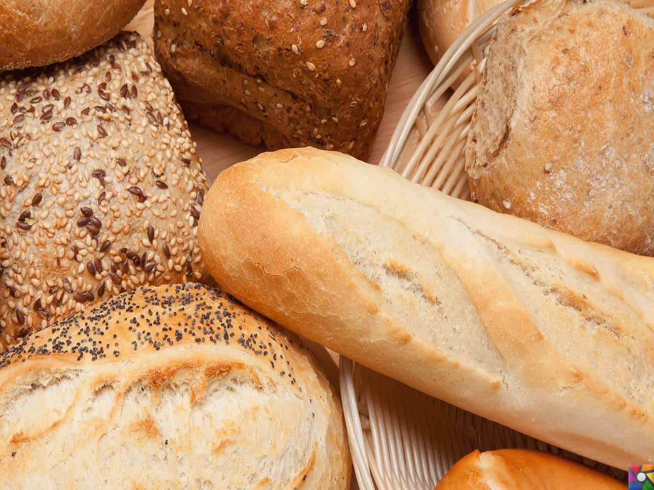 Besin Grupları Nelerdir? Besinlere göre nasıl dengeli beslenmeliyiz? | Tam tahıllı ekmekler tüketin