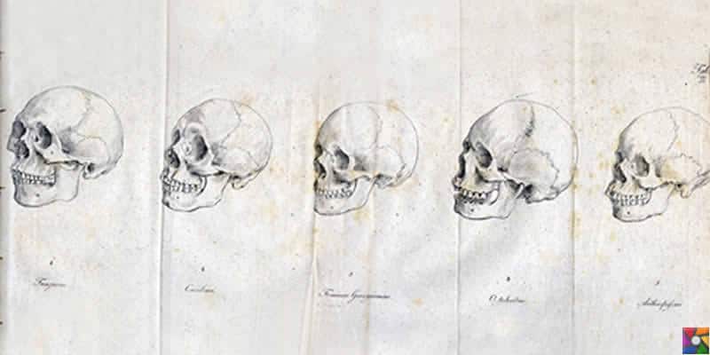 Johann Friedrich Blumenbach Kimdir? | Orjinal kendi hazırladığı 5 tür kafatası