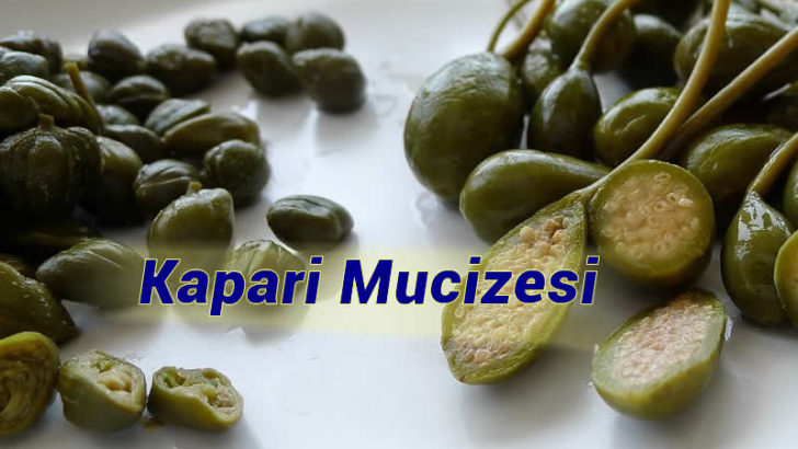 İspanya’yı zengin eden bitki Türkiye’de sökülüyor!