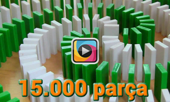 15 bin parça domino taşının hazırlanışı ve devrilişi