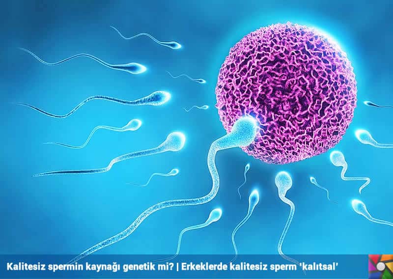 Mersin Namaz Vakitleri 2020 Ezan Saatleri Aksam Namazi Vakti Yatsi Ezani Kacta Okunuyor