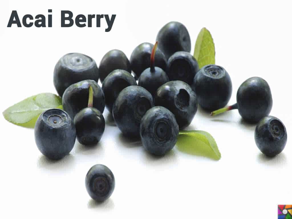 Chia yararları ile Etiketlenen Konular Chia yararları ile Etiketlenen Konular