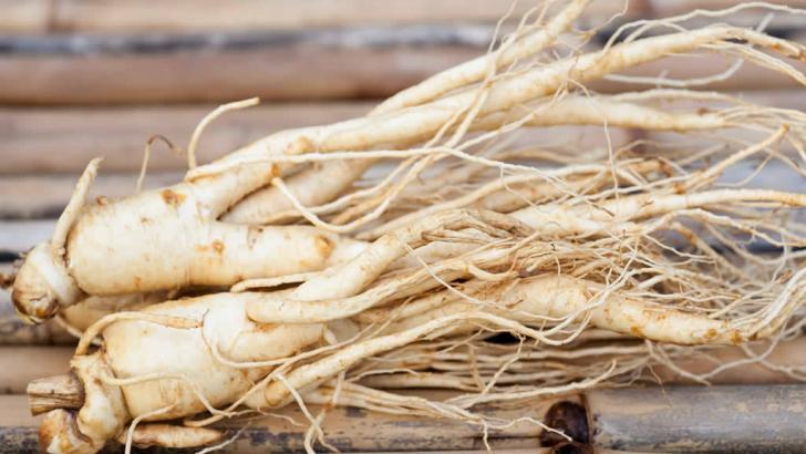 Beyin gücüyle çalışanların kesinlikle alması gereken bitki : Ginseng