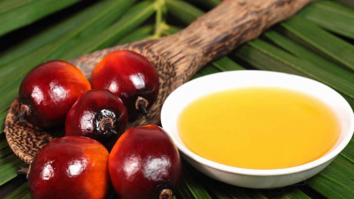 Palm yağı nedir? Palm yağı yararlı mı zararlı mı?