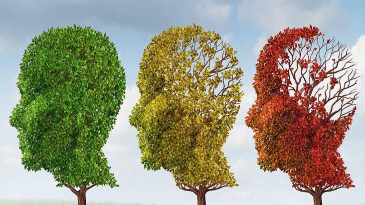 İki dil bilenlerin Alzheimer’dan etkilenmedikleri görüldü!