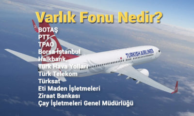 Türkiye’de neden şirketler varlık fonuna devir ediliyor?