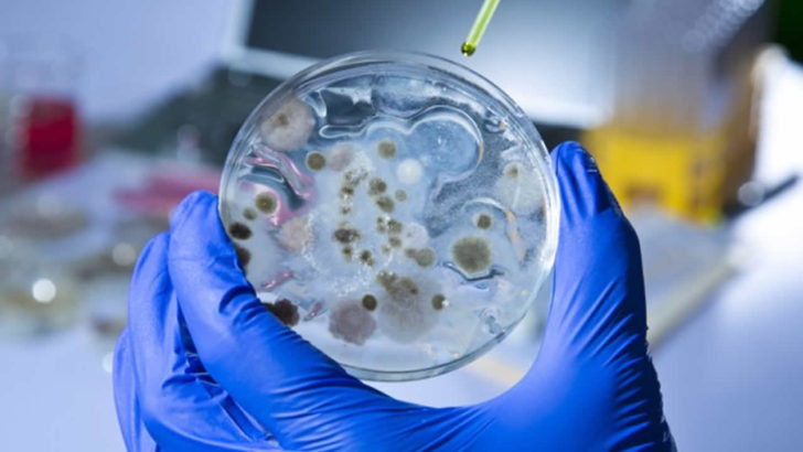 Direnç kazanan 12 bakteriye karşı acilen antibiyotik geliştirilmesi gerekiyor!