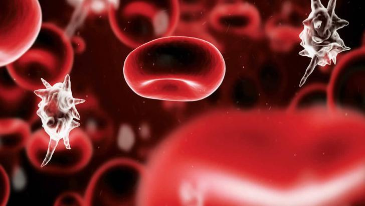 Dünyanın en ölümcül hastalığı: Sepsis Nedir? Belirtileri Nelerdir?