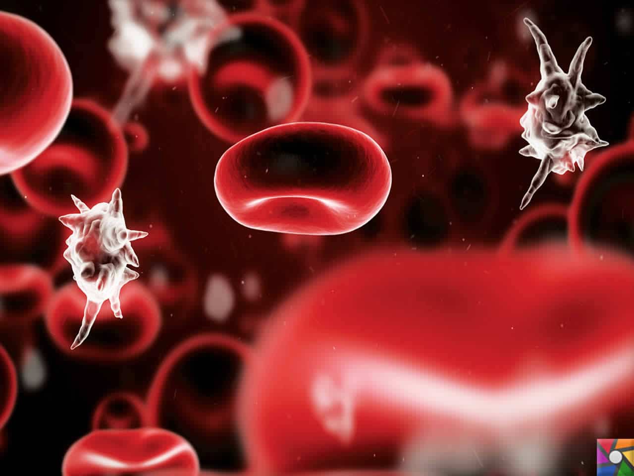 Kan Sepsis - Sonuçları ve Tedavisi Kan Sepsis - Sonuçları ve Tedavisi