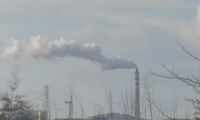 İzmir Aliağa’da kanserden ölüm oranlarında ciddi artış yaşanıyor!