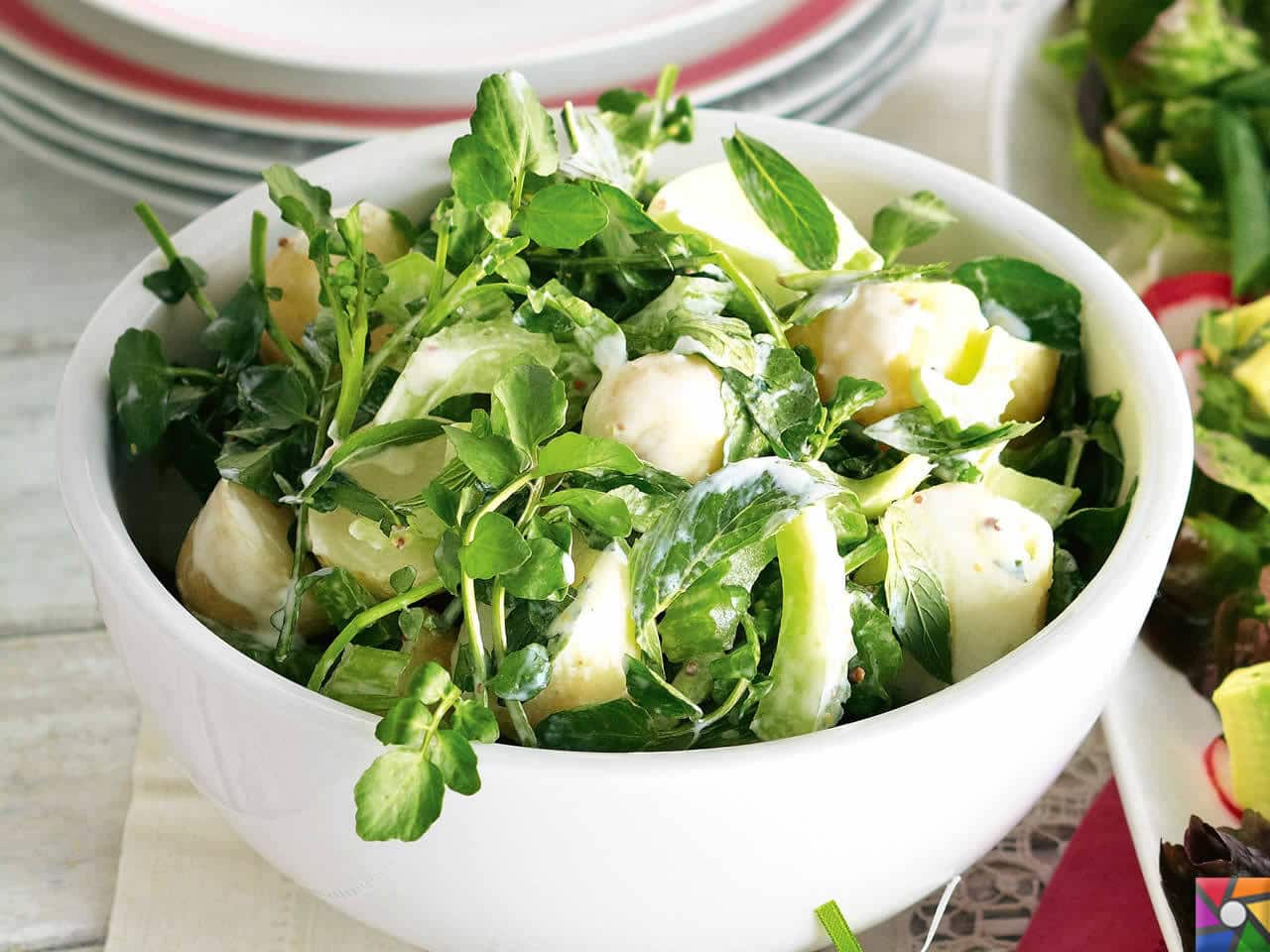 Mint salad nude - 🧡 Cucumber & mint salad Recipe Taste.