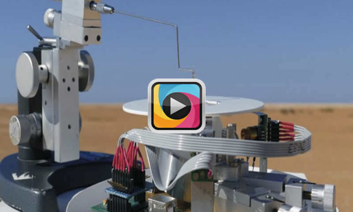 Robot otomasyonu için karıncanın doğal navigasyonu çözülmeye çalışılıyor