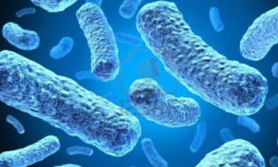 Vücuda yararlı mikropları tanıyor musunuz? Yararlı bakteriler nelerdir?
