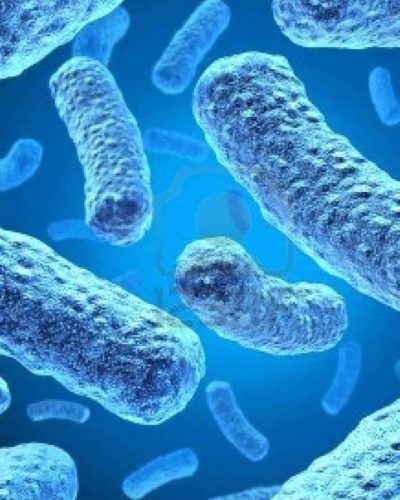 Vücuda yararlı mikropları tanıyor musunuz? Yararlı bakteriler nelerdir?