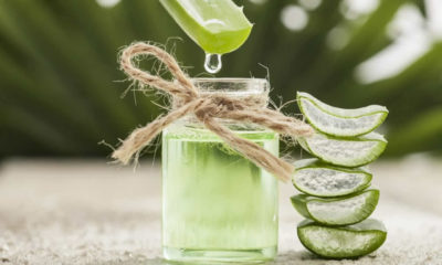 Aloe Vera Nedir? Yararları, Zararları Nelerdir? Nasıl Kullanılır?