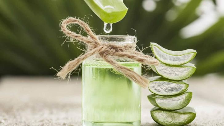 Aloe Vera Nedir? Yararları, Zararları Nelerdir? Nasıl Kullanılır?