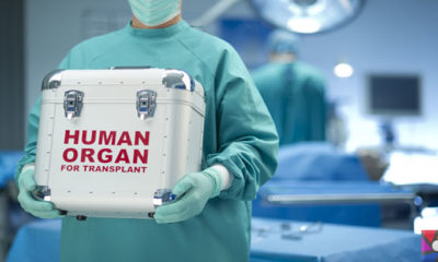 Suriyeli Mülteciler para karşılığında organlarını satıyorlar! Lübnan’daki Organ Mafyası