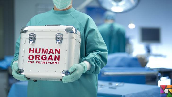Suriyeli Mülteciler para karşılığında organlarını satıyorlar! Lübnan’daki Organ Mafyası