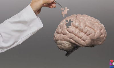Uzun süre çalışmanın insan beynine verdiği zararlar nelerdir?
