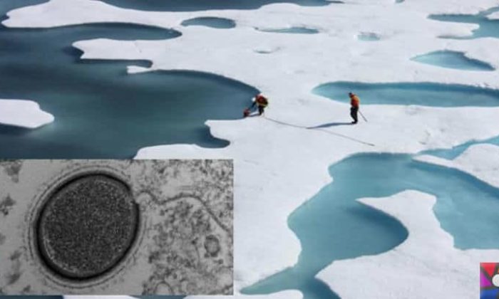 Buzullar eridikçe donmuş virüsler tekrar canlanmaya başlıyor!