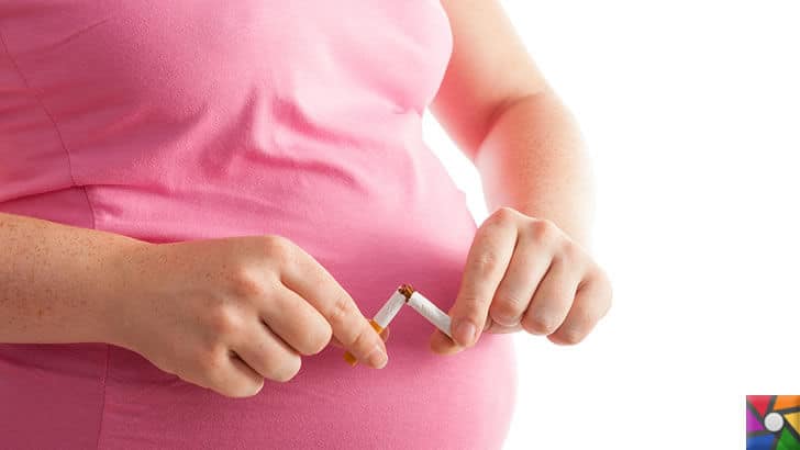 Hamilelikte içilen sigara bebeğin karaciğerine zarar verdiği kanıtlandı! | Hamile kadınların kesinlikle sigara içmemesi ve yanında sigara içirtmemesi gerekiyor