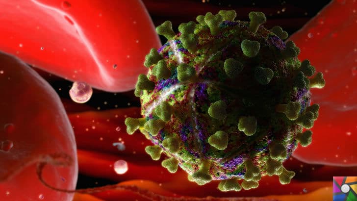 HIV virüsü nedir? HIV virüslü kişi ne kadar yaşar? | HIV virüsü 