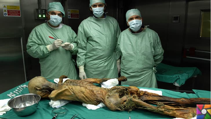 Dünyanın ilk faili meçhul cinayeti 5300 yıl önce işlenmiş! | Ötzi Mumyası 25 yıldır inceleniyor