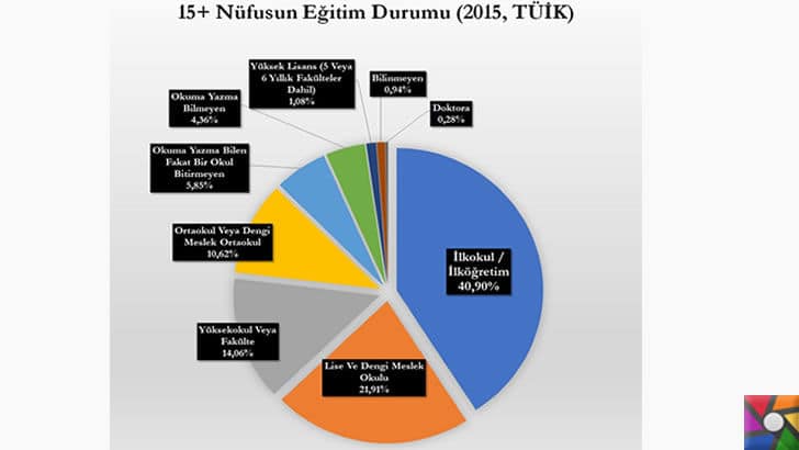 Finlandiya'da değişen Eğitim Sistemi Türkiye'ye örnek olabilir mi? | 15 yaş ve üstü TUIK raporu