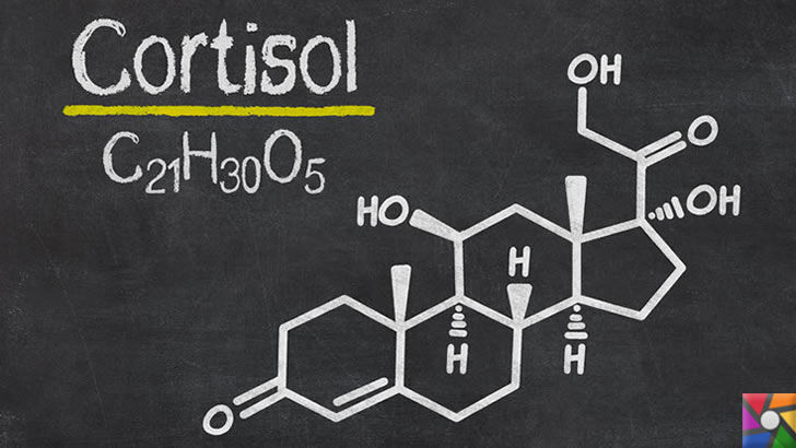Kortizon Nedir? Kortizon Neden Kullanılır? Yan Etkileri Nelerdir? | Kimyasal yapısı