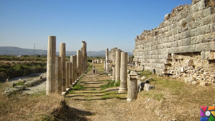 Afrodisias Antik Kenti nerede? Tarihçesi ve Kalıntıları nelerdir? | Sütunlu yol