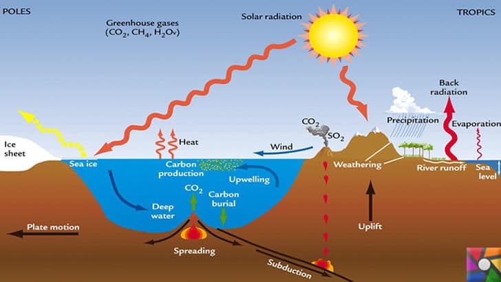 Dünyayı kasıp kavuran sıcaklıkların nedeni Küresel Isınma! | Karbon salınımının deniz ve karada işleyişi