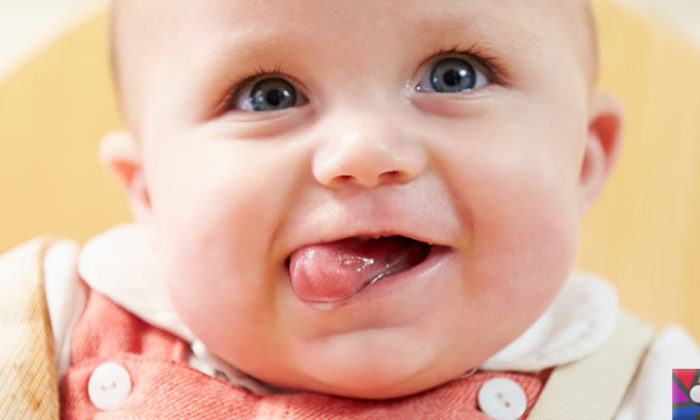 Bebeklerde Ek Besinler (Ek Gıdalar) ne zaman ve nasıl başlanmalı?