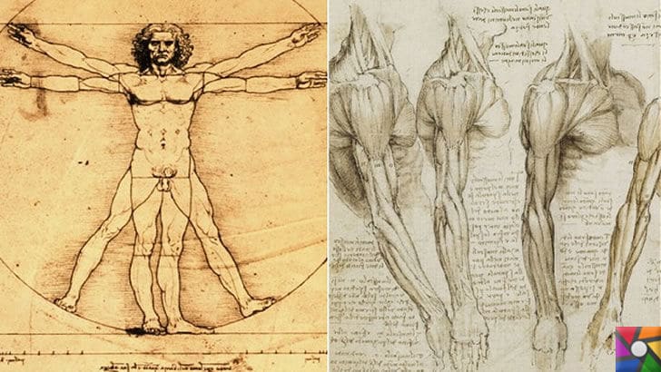 Leonardo da Vinci Kimdir? Hayatı, Biyografisi ve Teknik İcatları | Vitruvius Adamı ve Kas çizimleri