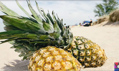 Ananas neden ve nasıl yenmeli? Ananasın yararları nelerdir?