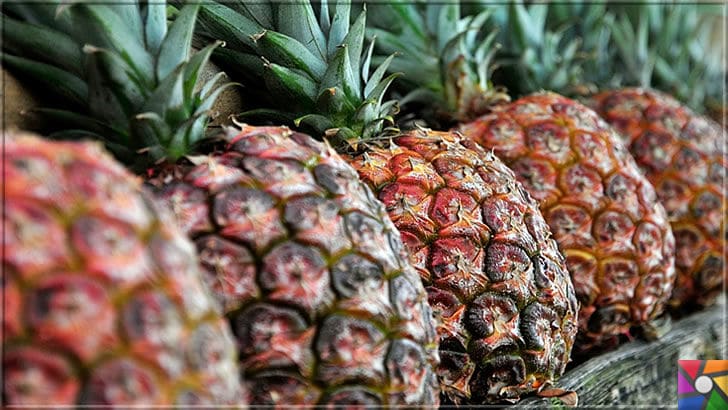 Ananas neden ve nasıl yenmeli? Ananasın yararları nelerdir? | Ananasın görünüşünden dolayı Avrupalı kaşifler Pineapple demişler