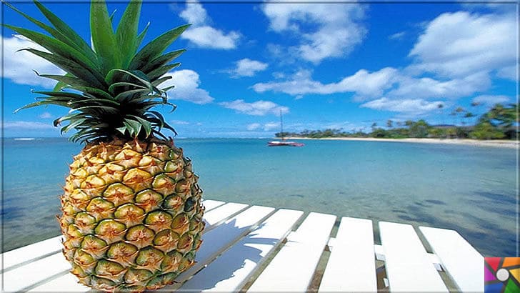 Ananas neden ve nasıl yenmeli? Ananasın yararları nelerdir? | Tropik Meyve Ananas