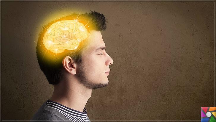 İnsan hafızasının sınırı var mı? Hafıza (Bellek) kapasitesi nasıl artar?