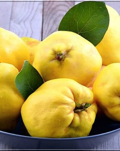 Potasyum deposu Ayvanın faydaları nelerdir? Ayva çekirdeği zararlı mı?