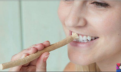 Ağız ve Diş sağlığı için misvak kullanmanın 8 bilimsel nedeni