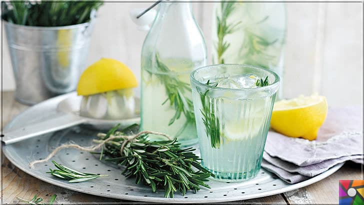 Hafıza ve zekayı geliştiren süper gıda Biberiyenin faydaları nelerdir? | Biberiye (Rosemary) ve limon ile buzlu su yaparak, metabolizmayı hızlandırabilirsiniz