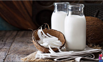 Hindistan Cevizi sütü nasıl yapılır? Hindistan Cevizi sütü ile 9 saç kürü