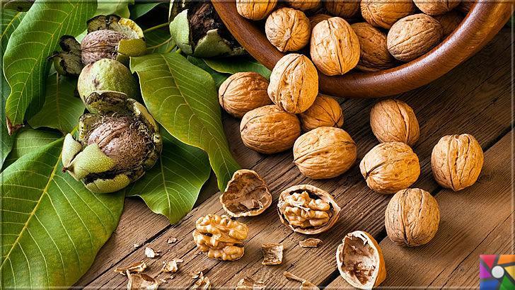Kalp ve Damar sağlığı için neden Ceviz yenmeli? Cevizin müthiş faydaları