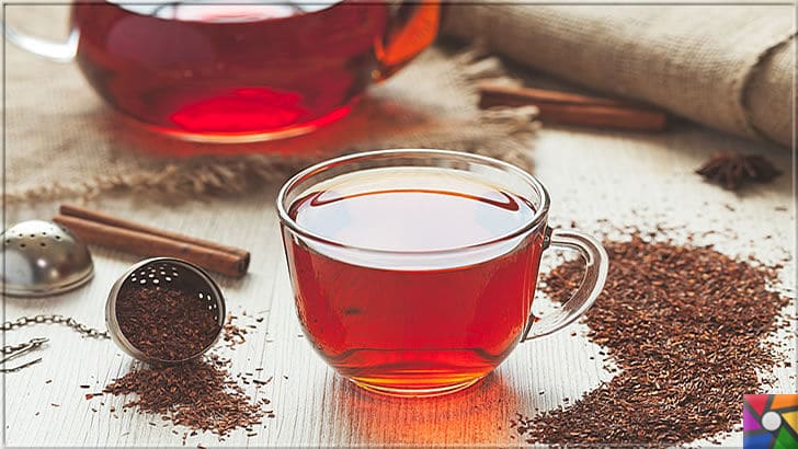 Rooibos Çayı zayıflatır mı? Rooibos Çayının yararları ve zararları nelerdir? | Doğal tatlı olan Rooibos çayında güçlü antioksidanlar var