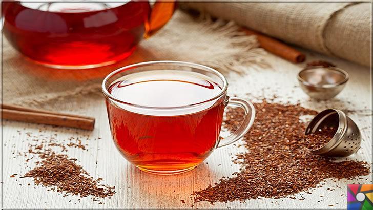 Rooibos Çayı zayıflatır mı? Rooibos Çayının yararları ve zararları nelerdir?