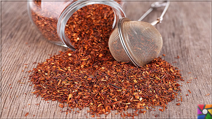 Rooibos Çayı zayıflatır mı? Rooibos Çayının yararları ve zararları nelerdir? | Rooibos Çayının fermente edilerek yapılan kurusu 