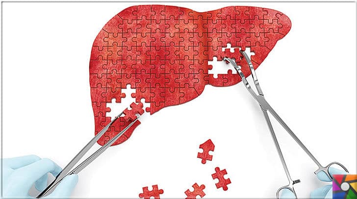 Sağlıklı bir Karaciğer için tüketilmesi gereken en iyi 21 gıda | Karaciğer kendini yenileyebilen bir organdır